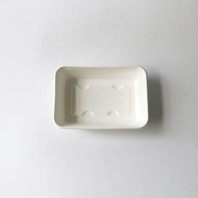 500ml Bagasse Tray with Separate Lid