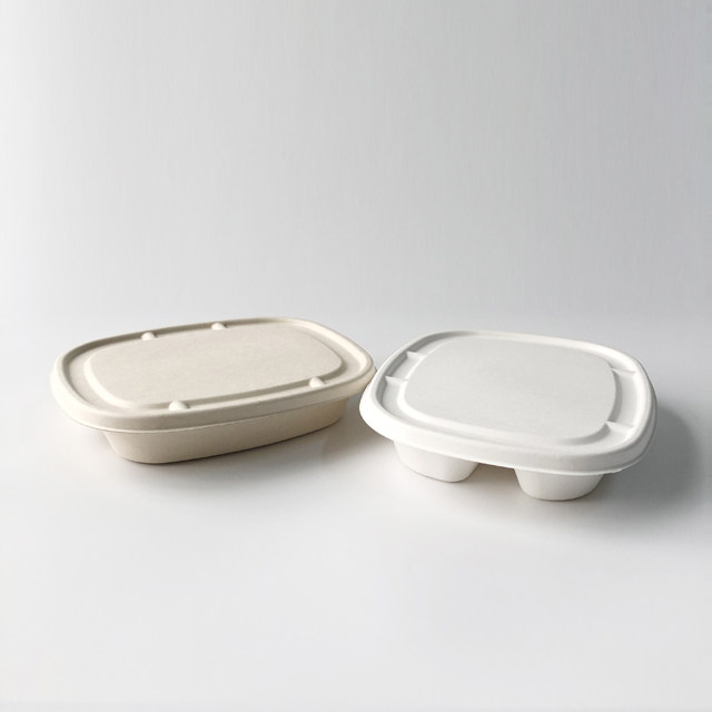 Bagasse Lid 2&3 Compartment Container