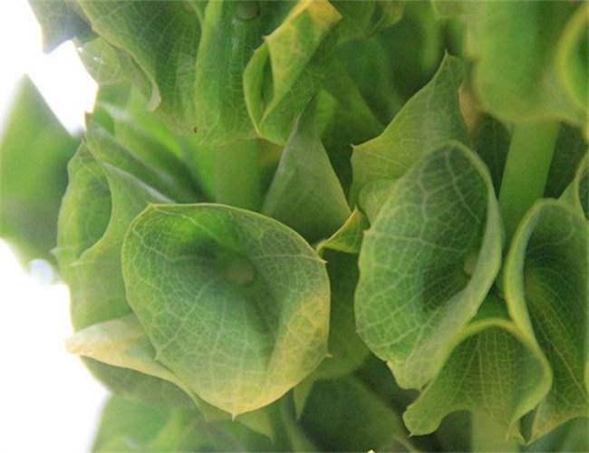 企业资讯 广州哥利草业有限公司