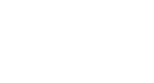 Hansi Logo