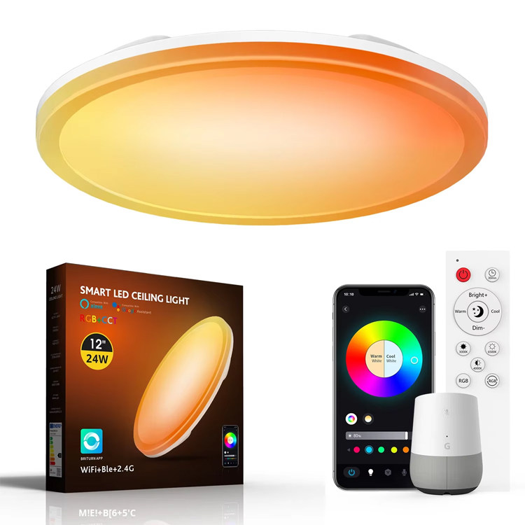 24W Dual Mode Smart Ceiling light