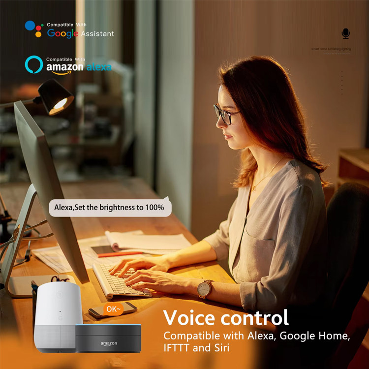 24W Dual Mode Smart Ceiling light