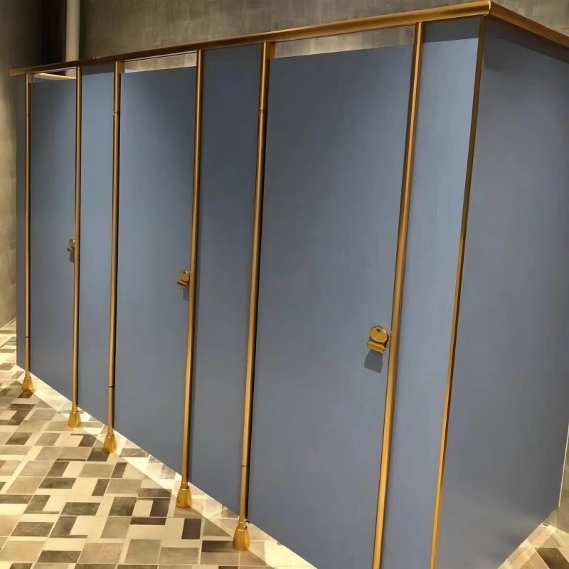 Shower Stall Bathroom Ideas – Modern Divider Solutions