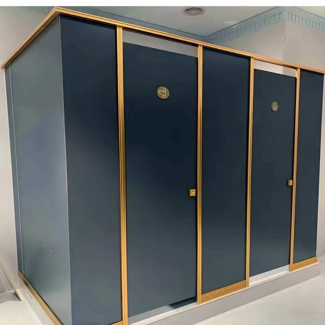 Handicap Bathroom Stall Kit with Grab Bars and Privacy Panel