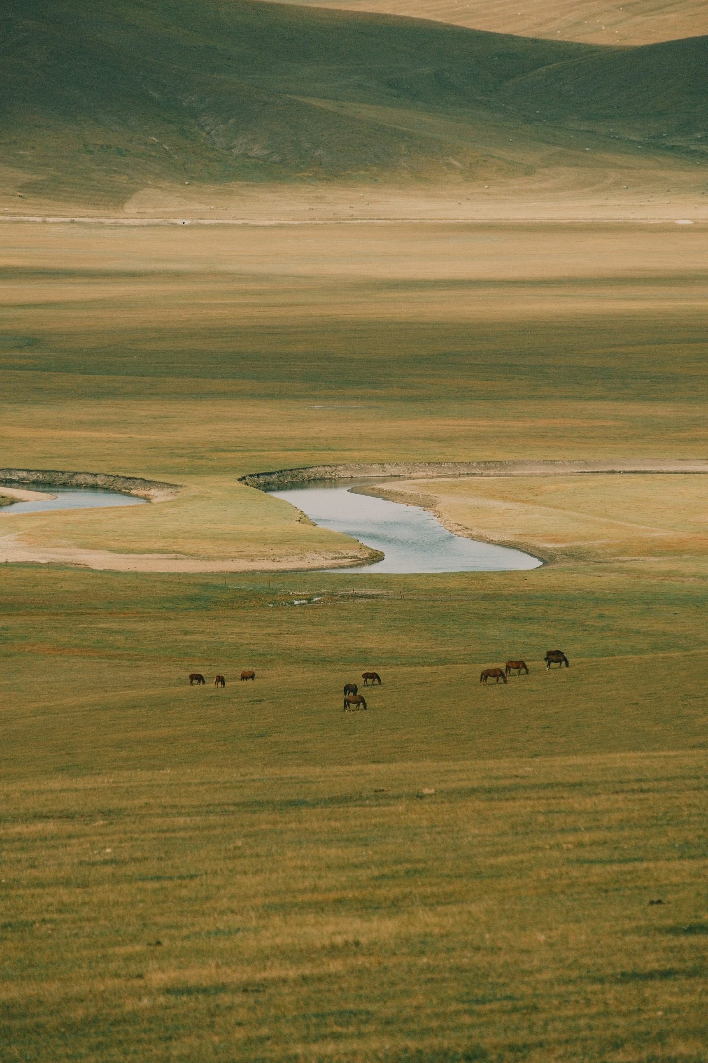 Mongolia Grassland Sustainable Management Project