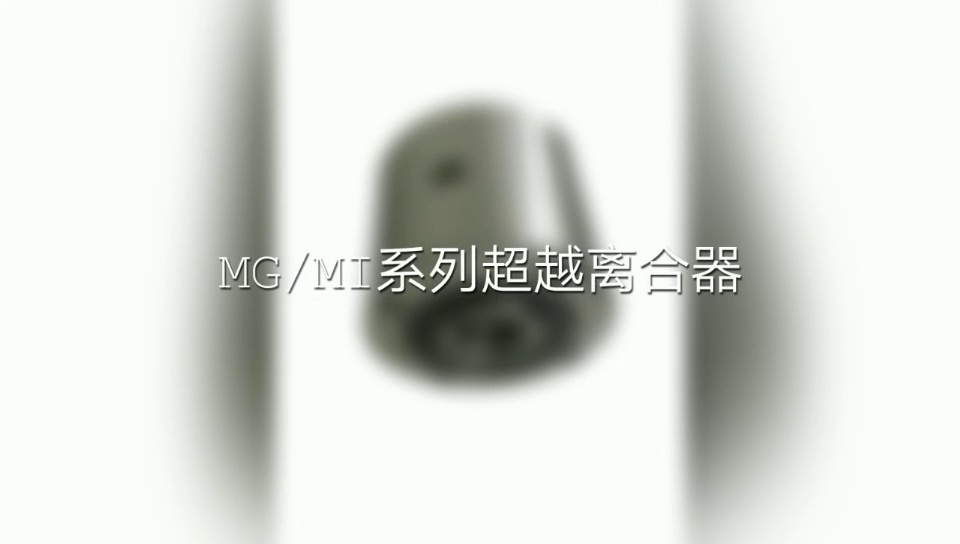  Changzhou Lisongtai Industrial Motion Technology  Co.,LTD 