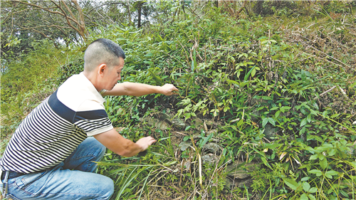 江西省方志敏研究会 