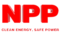 NPPower International Inc