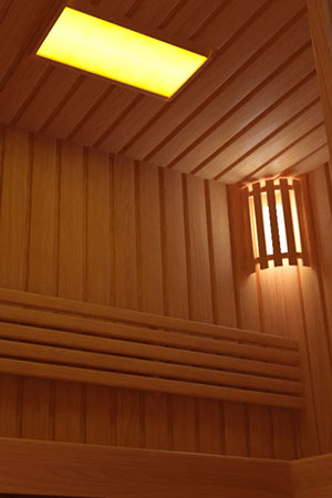 Sauna case