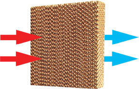 cooling pad