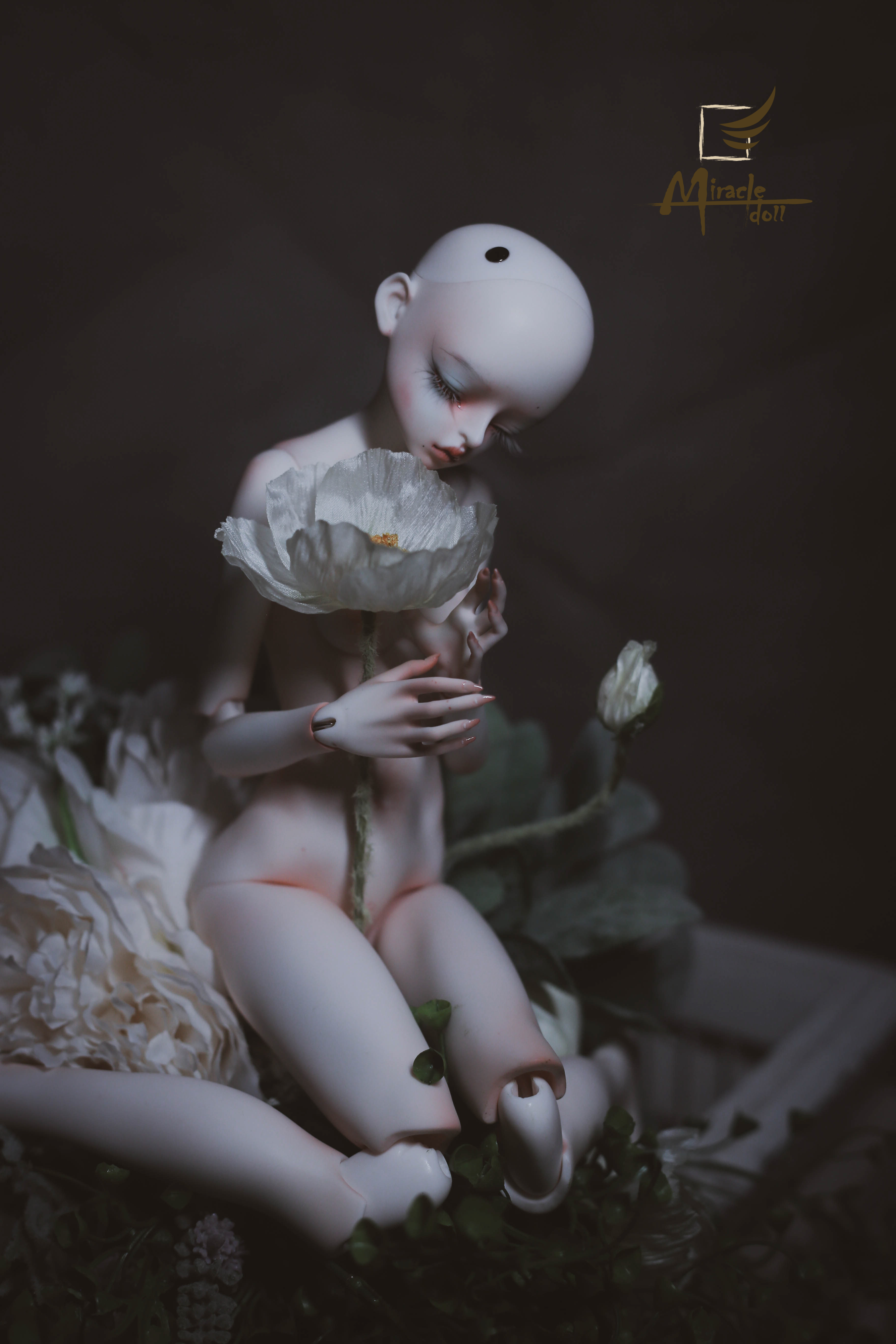 Miracle Doll