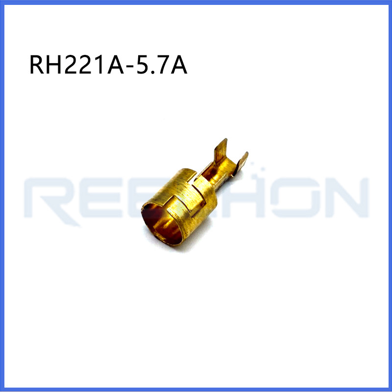 Ruian Ruihong Trading Co., Ltd.