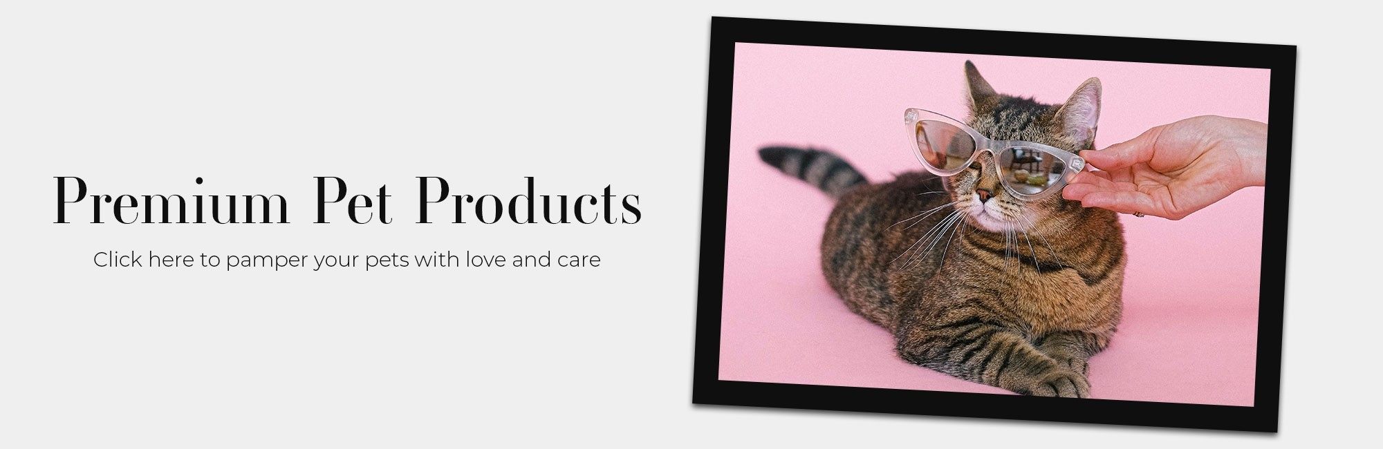 BrandMark Gifts Inc