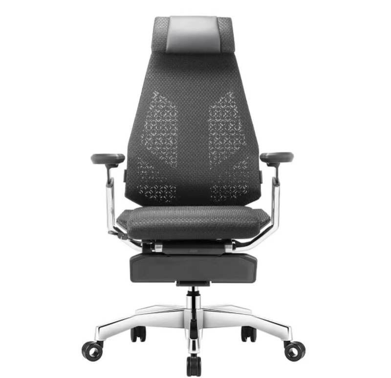 Ergohuman Genidia x 人體工學椅 辦公椅