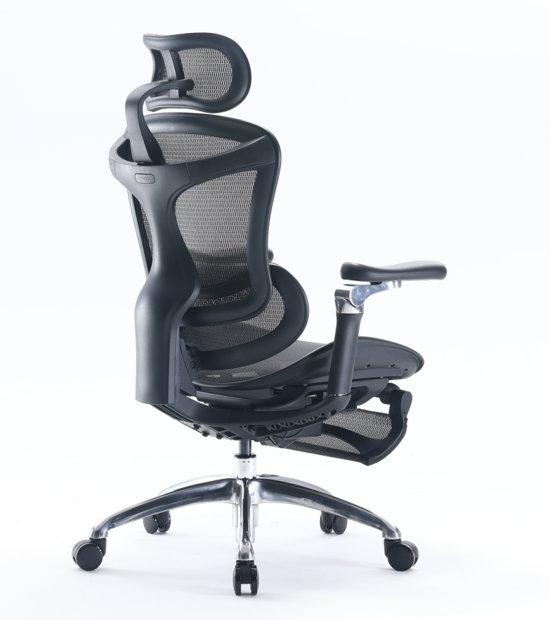 Sihoo C300 人體工學椅 辦公椅