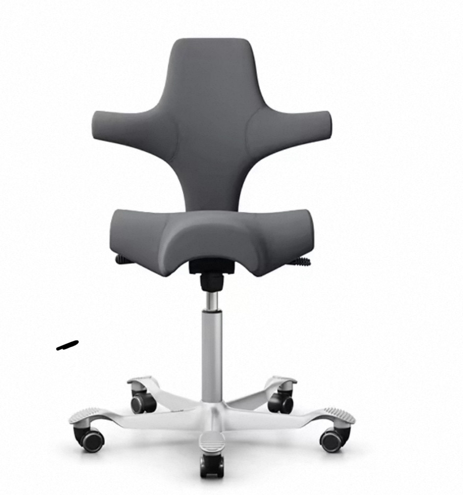 King Chair shop