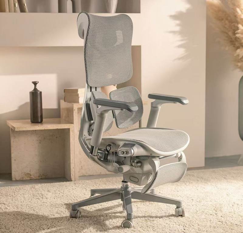 SIHOO T6 Ergonimic Chair