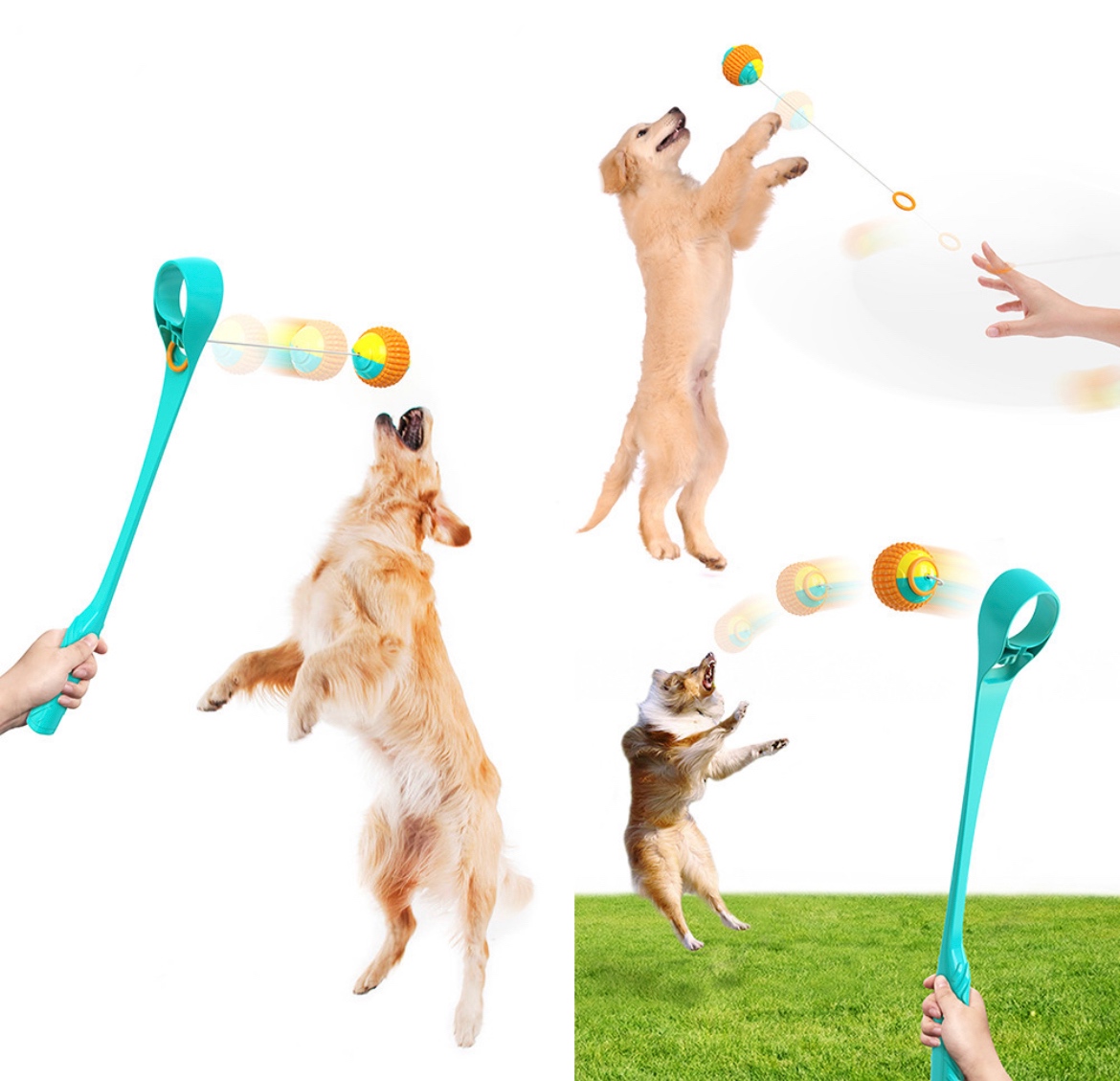 Mutifunction launcher for dog