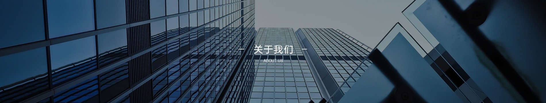 About us > 公司简介