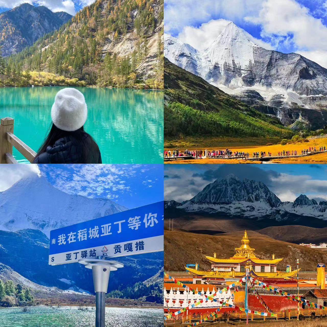 Beijing Meicheng International Travel Agency