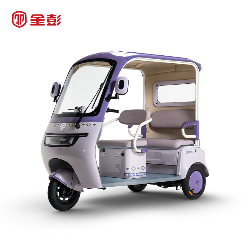 Electric Passenger Tricycle 60V32A 800W lead-acid cell