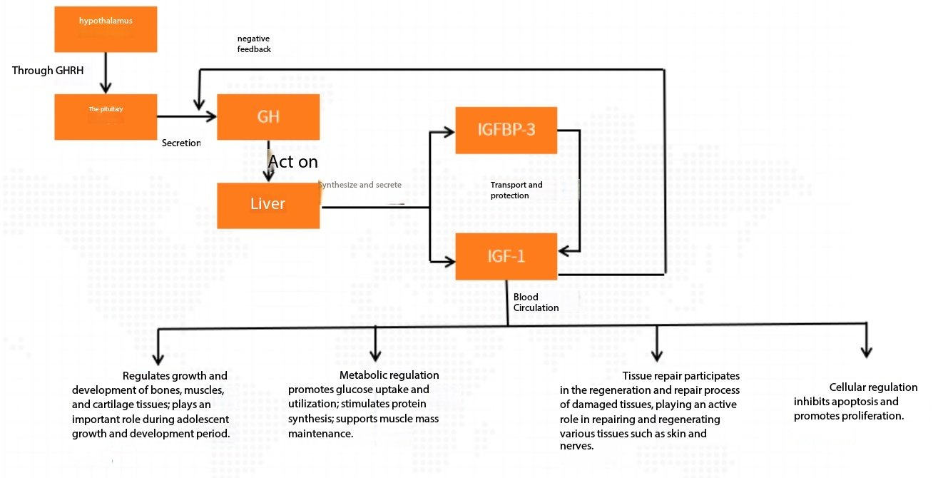 The Mysterious Force Regulating Female Health: Hormones and Immunoassay Technology