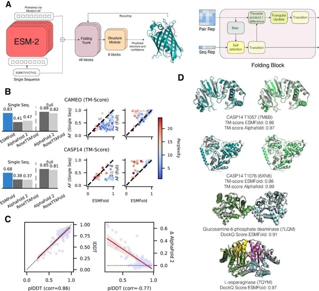 Unlocking the Power of ESMfold Antibody: Revolutionizing Protein Structure Prediction in Antibody Research