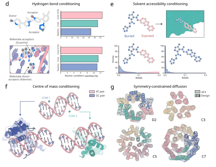 Comprehensive Guide to RFDiffusion3 Antibody: Applications, Features, and Research Insights