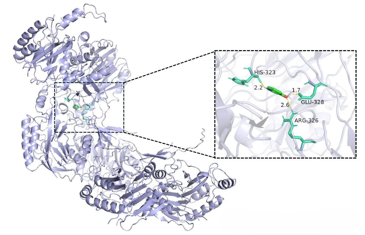 Molecular Docking – A Primer