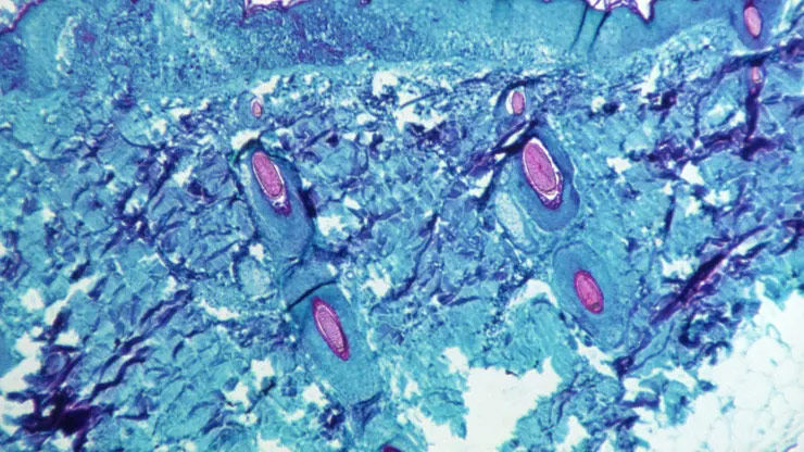 深圳赛柏生物有限公司