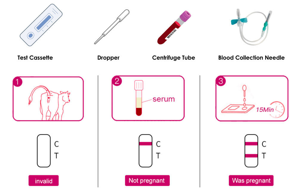 深圳赛柏生物有限公司