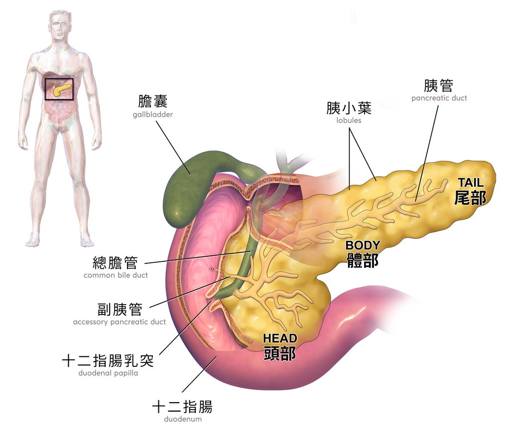 深圳赛柏生物有限公司