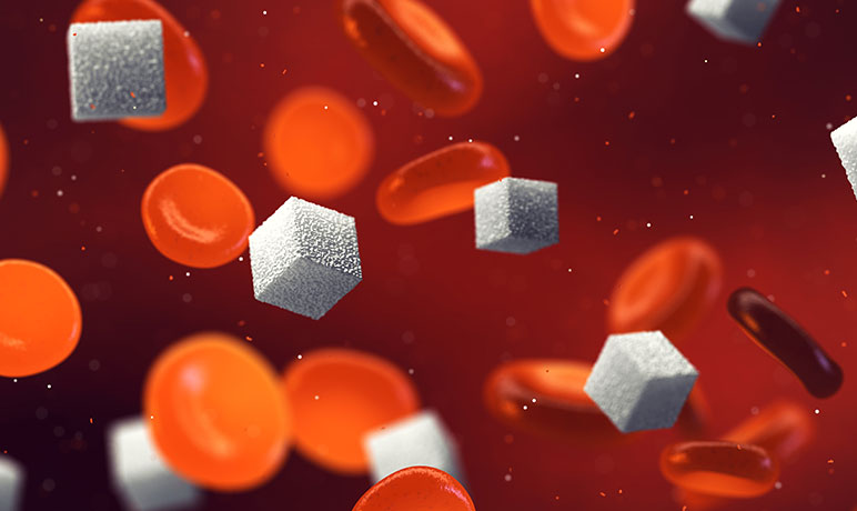 Glucose Metabolism