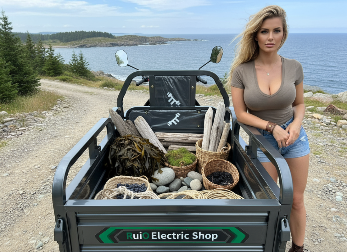 Nordic Green Mobility AB