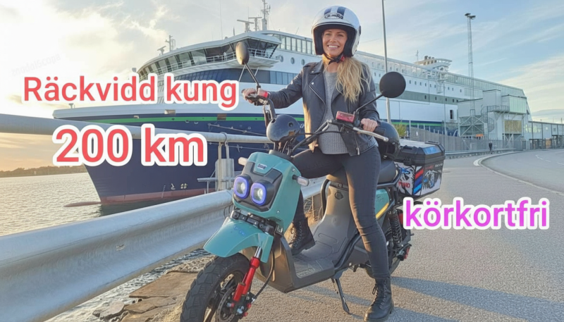 ATV 150CC - Worker Automat | Fungarage