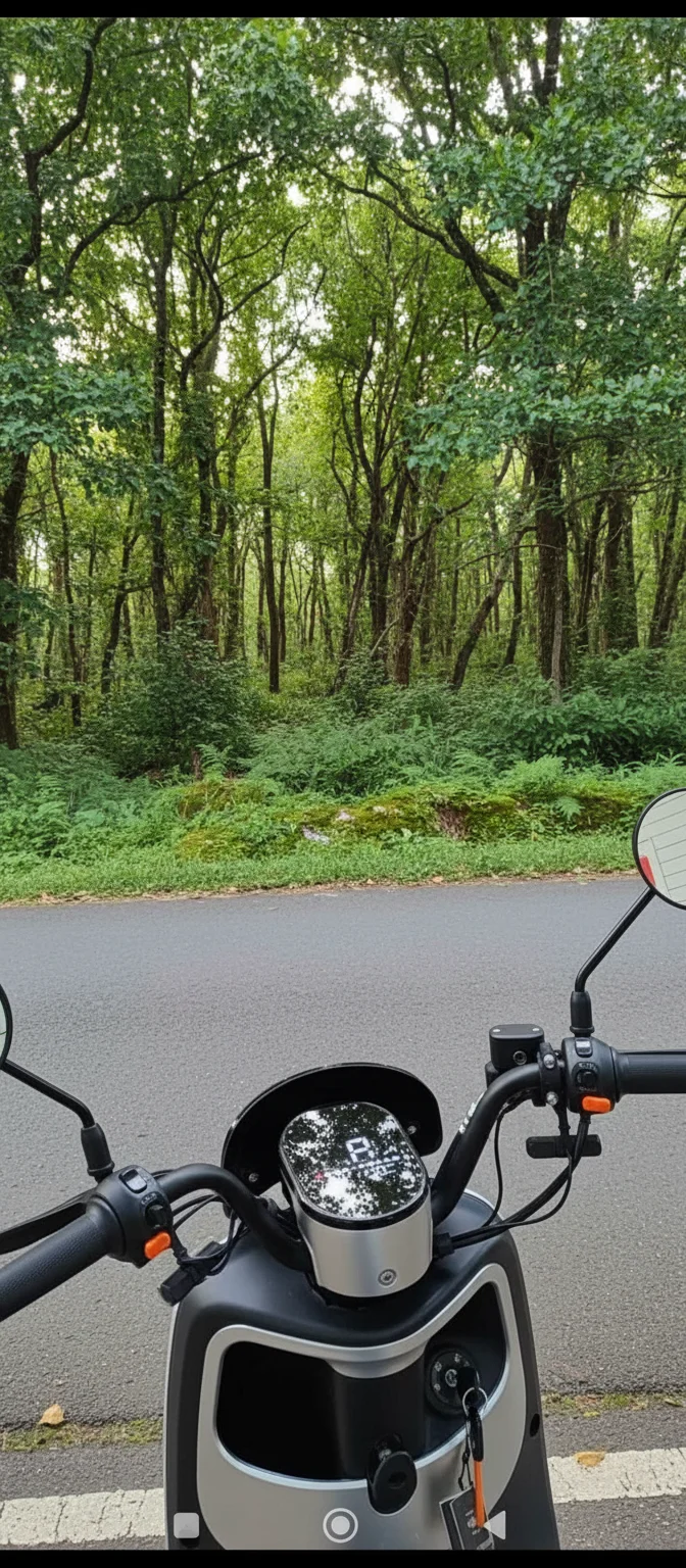 Nordic Green Mobility AB