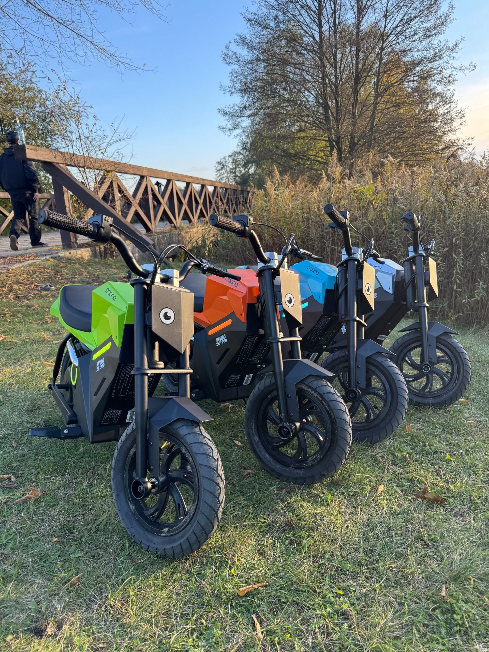 Nordic Green Mobility AB