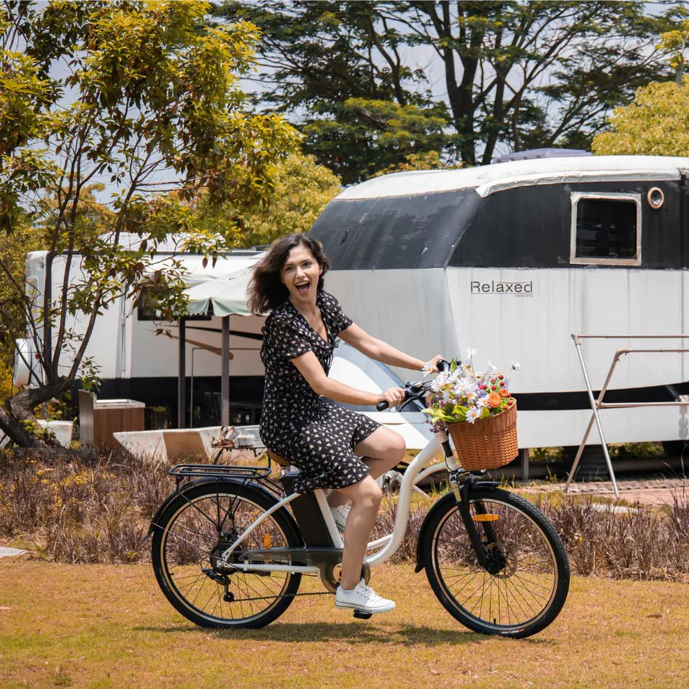 Nordic Green Mobility AB