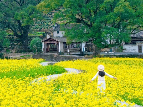 Why the quotations in one tour package are varied in different months?