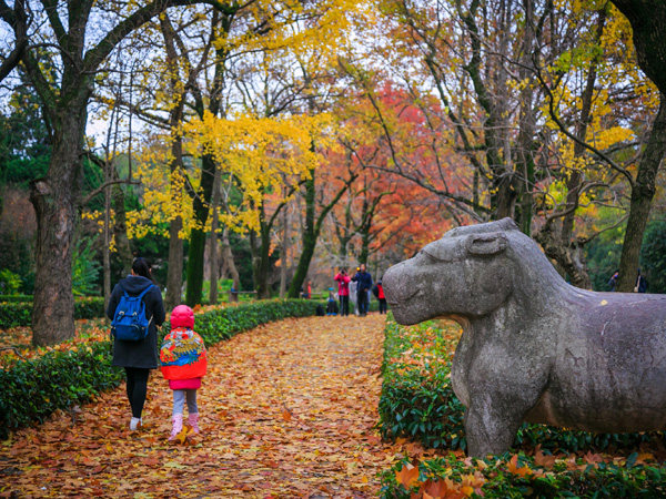 Guangxi Yunhui International Travel Agency Co., Ltd.