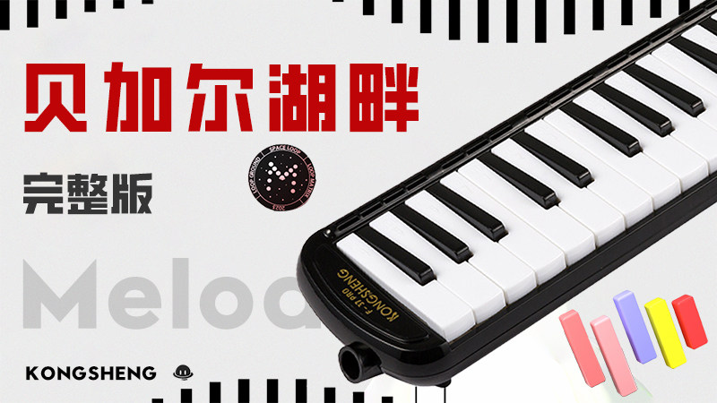 孔声乐器官方网站