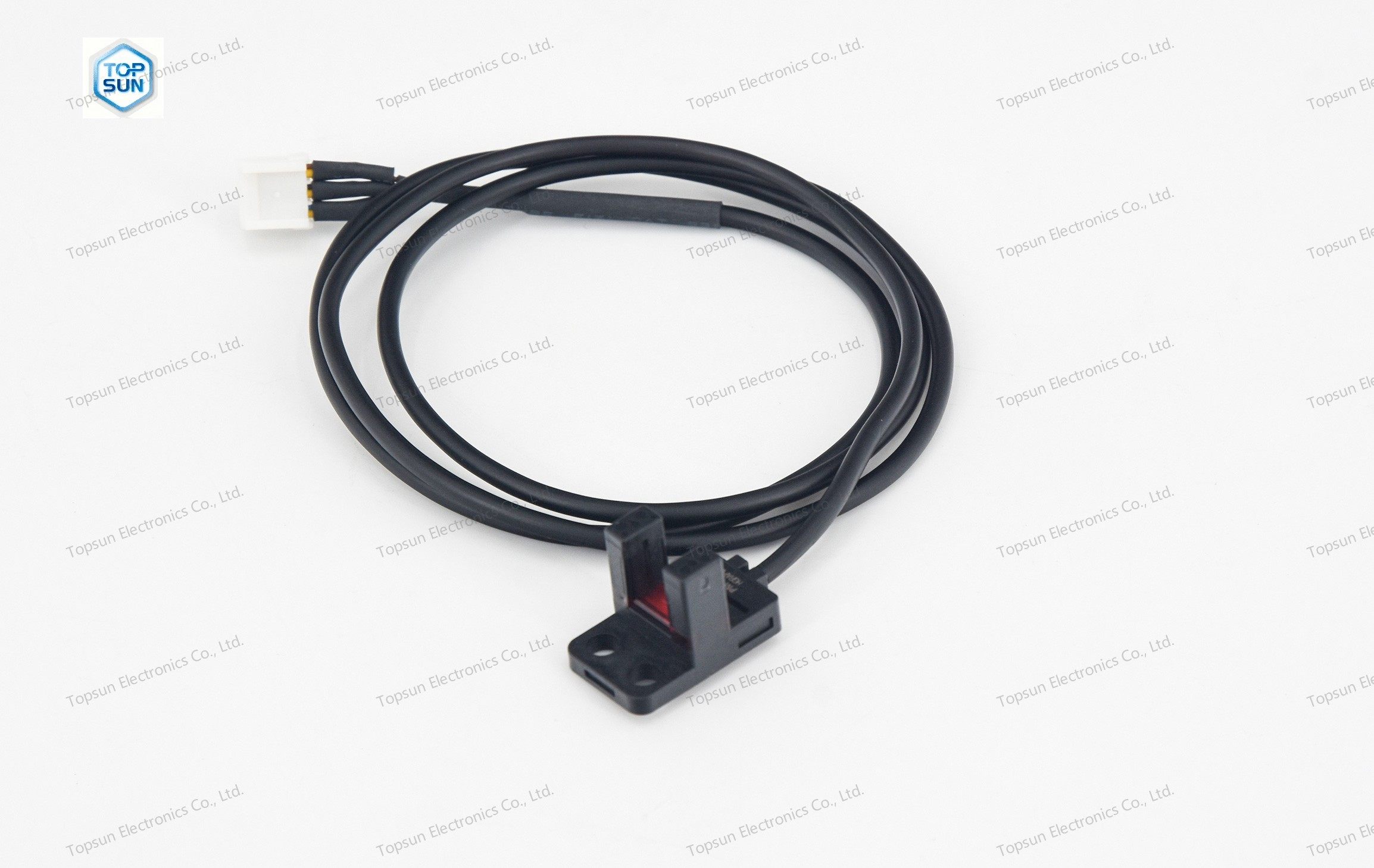 Topsun Electronics Co., Ltd