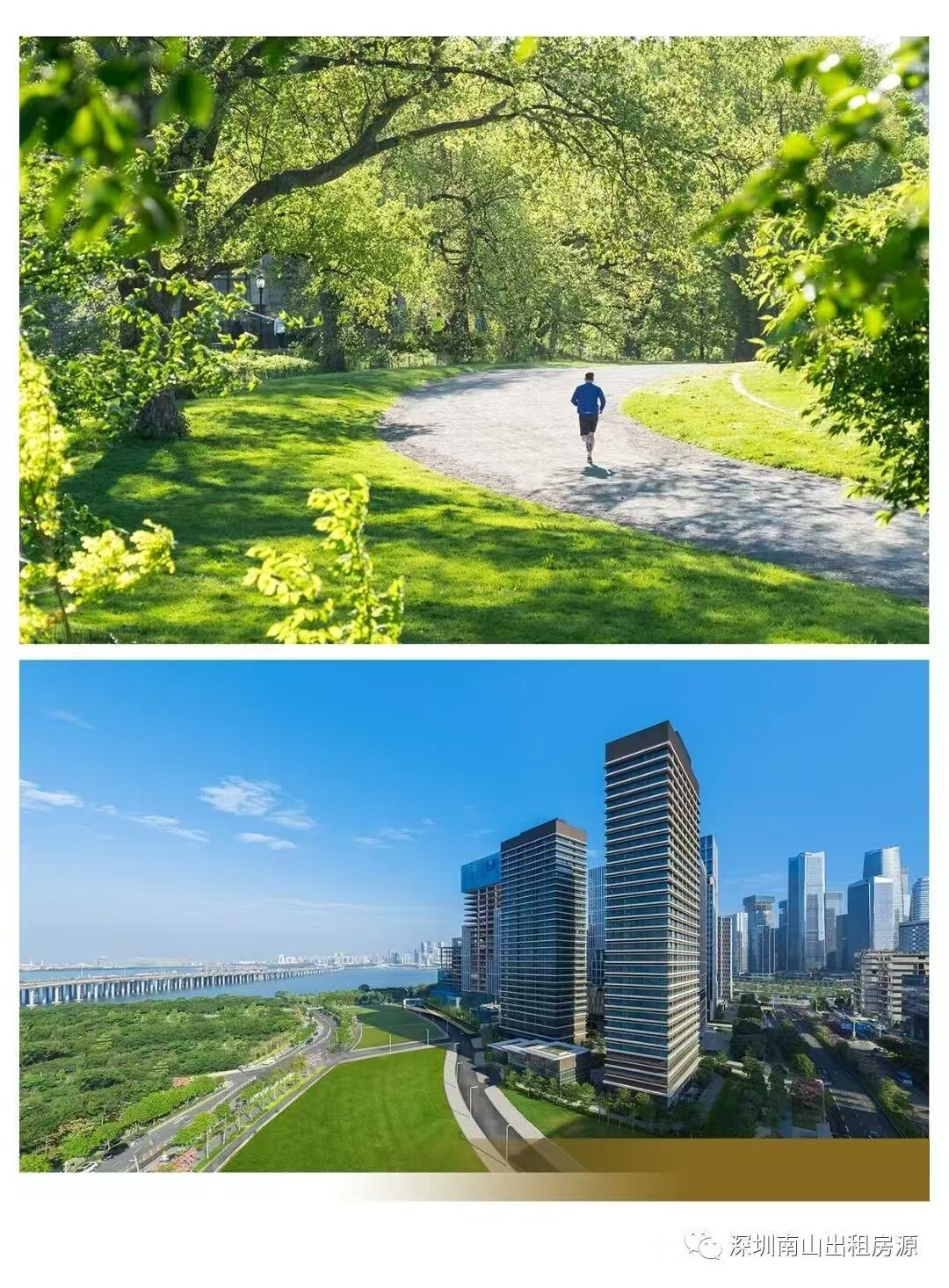 深圳市辰湾置业有限公司