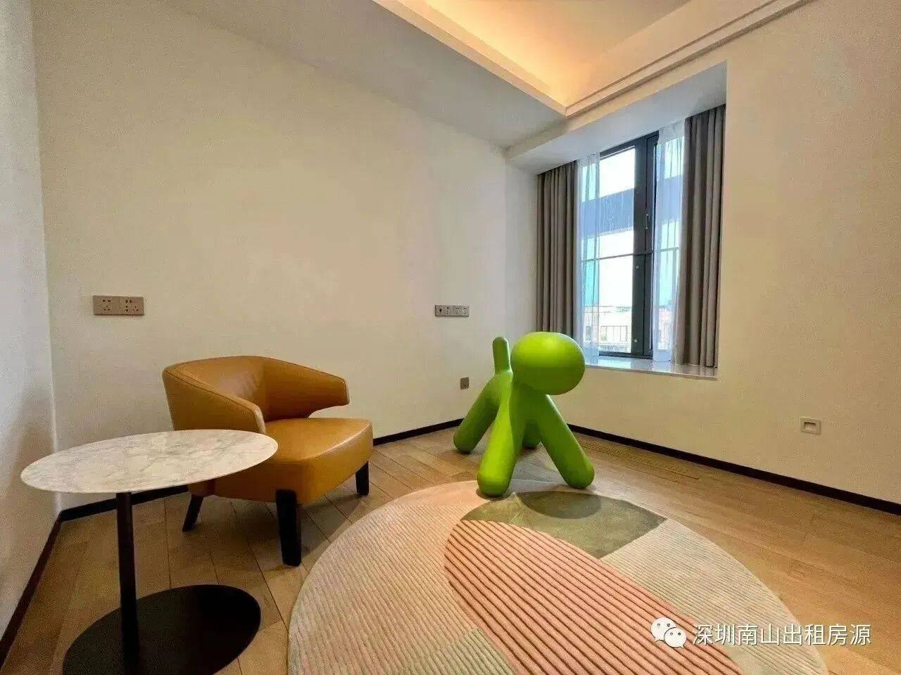 深圳市辰湾置业有限公司