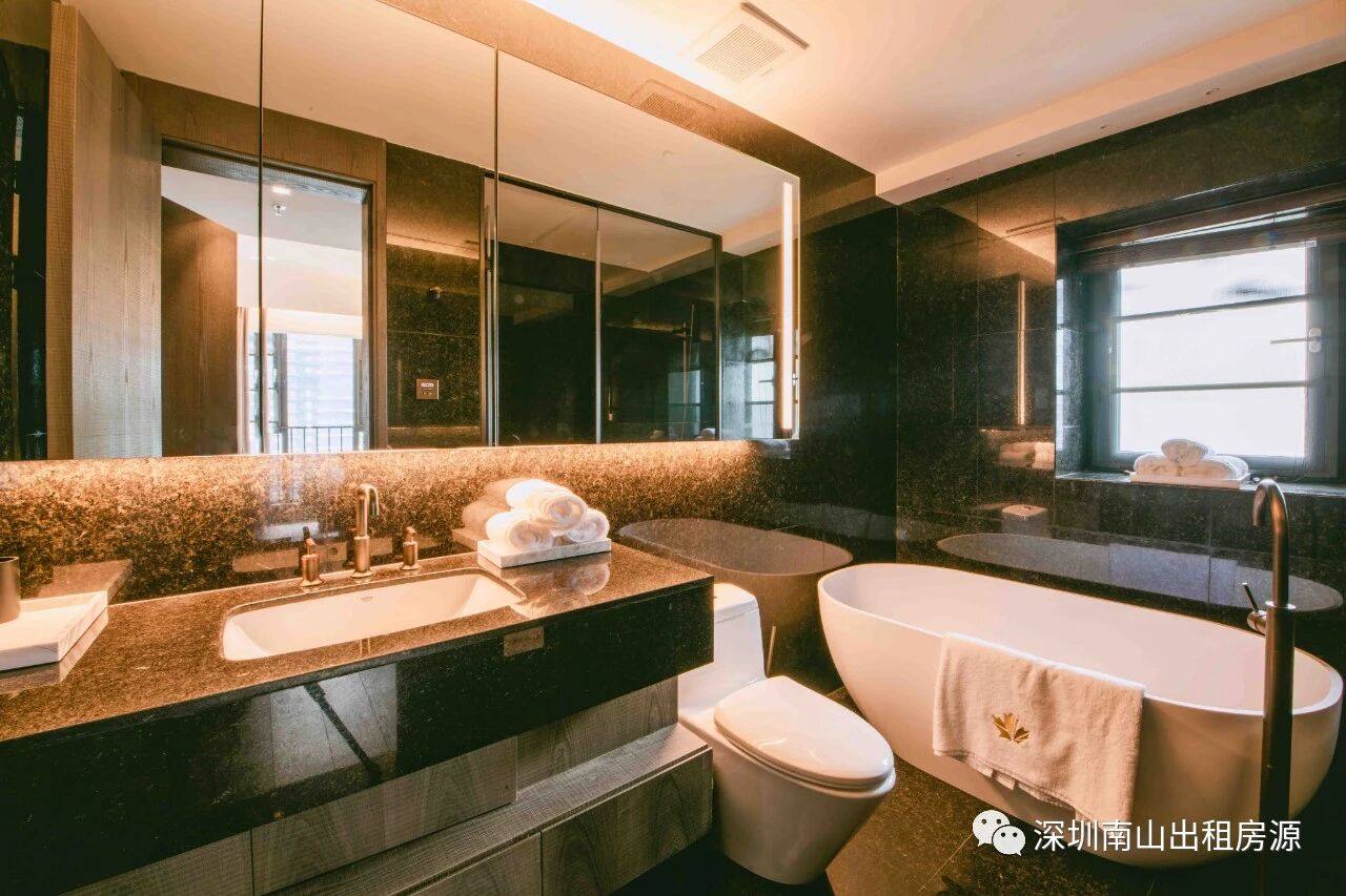 深圳市辰湾置业有限公司