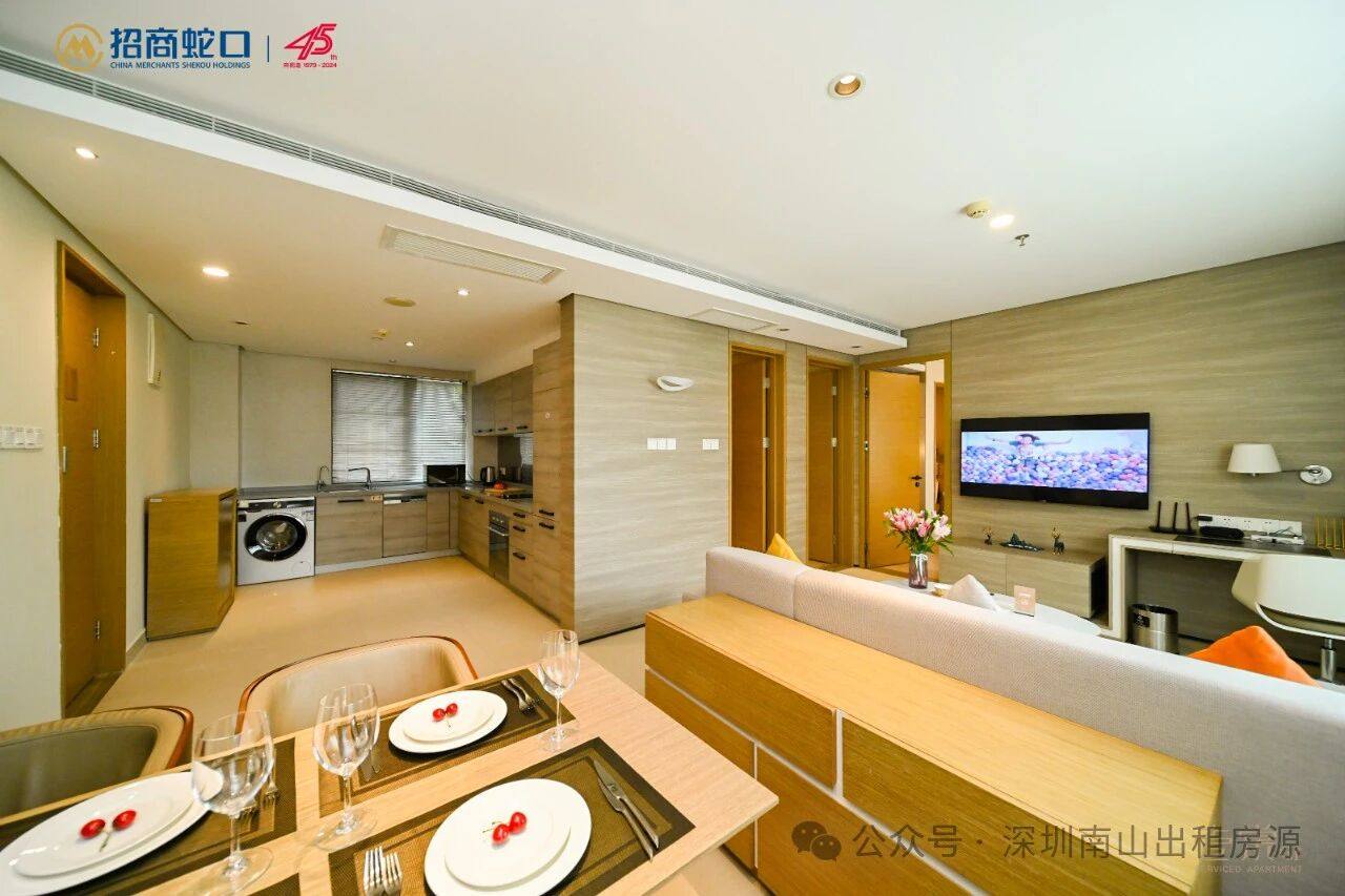 深圳市辰湾置业有限公司