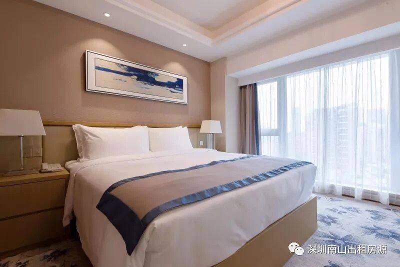 深圳市辰湾置业有限公司