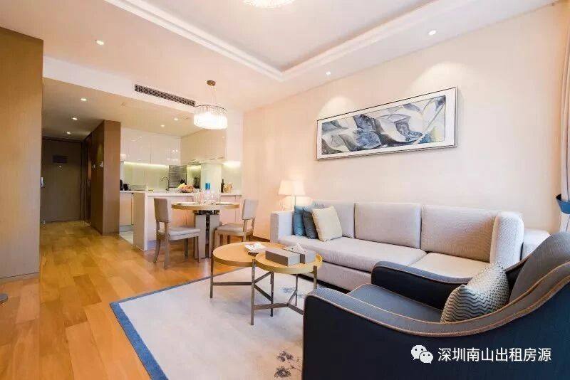 深圳市辰湾置业有限公司