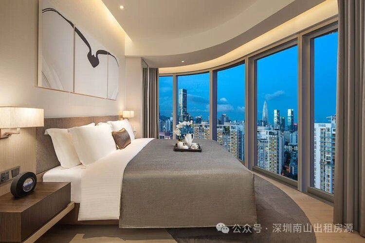 深圳市辰湾置业有限公司