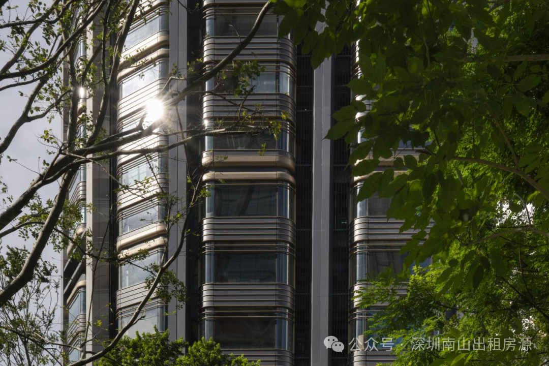 深圳市辰湾置业有限公司